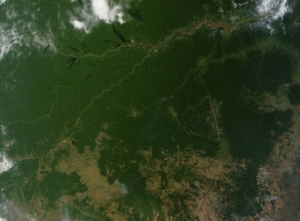 Experience the Amazon