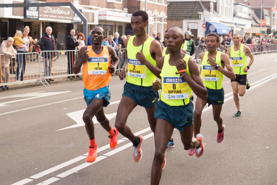 Run a marathon